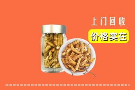 振兴区回收散虫草