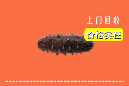 振兴区回收海参