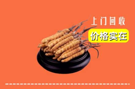 振兴区回收冬虫夏草